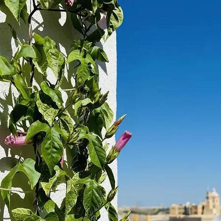 Casa Maria Tereza Bed & Breakfast *