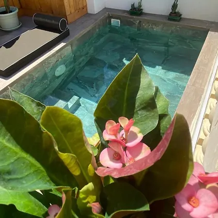 Casa Maria Tereza Bed & Breakfast
