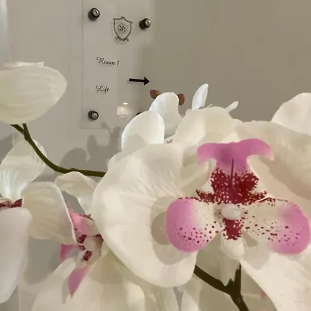 Casa Maria Tereza Bed & Breakfast